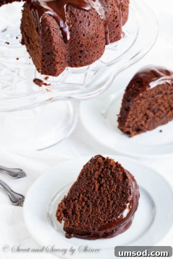Double stout chocolate bundt cake, showing the rich, moist texture of a slice.