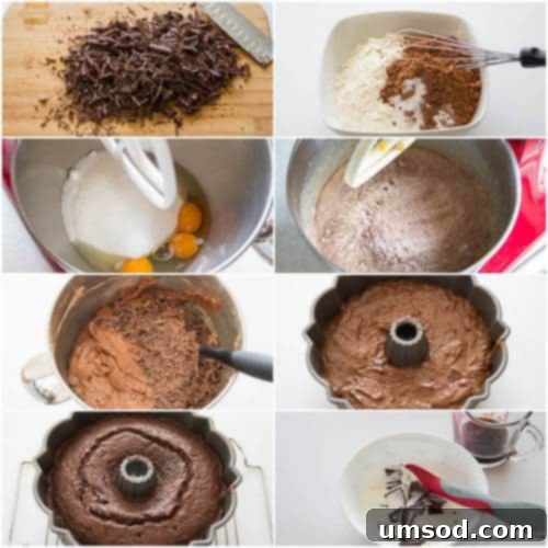 Step-by-step photos of making a double stout chocolate bundt cake