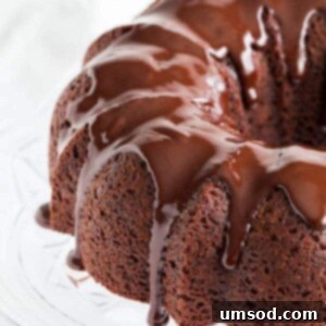 Double Stout Chocolate Bundt Cake