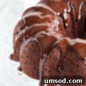 Double Stout Chocolate Bundt Cake final image