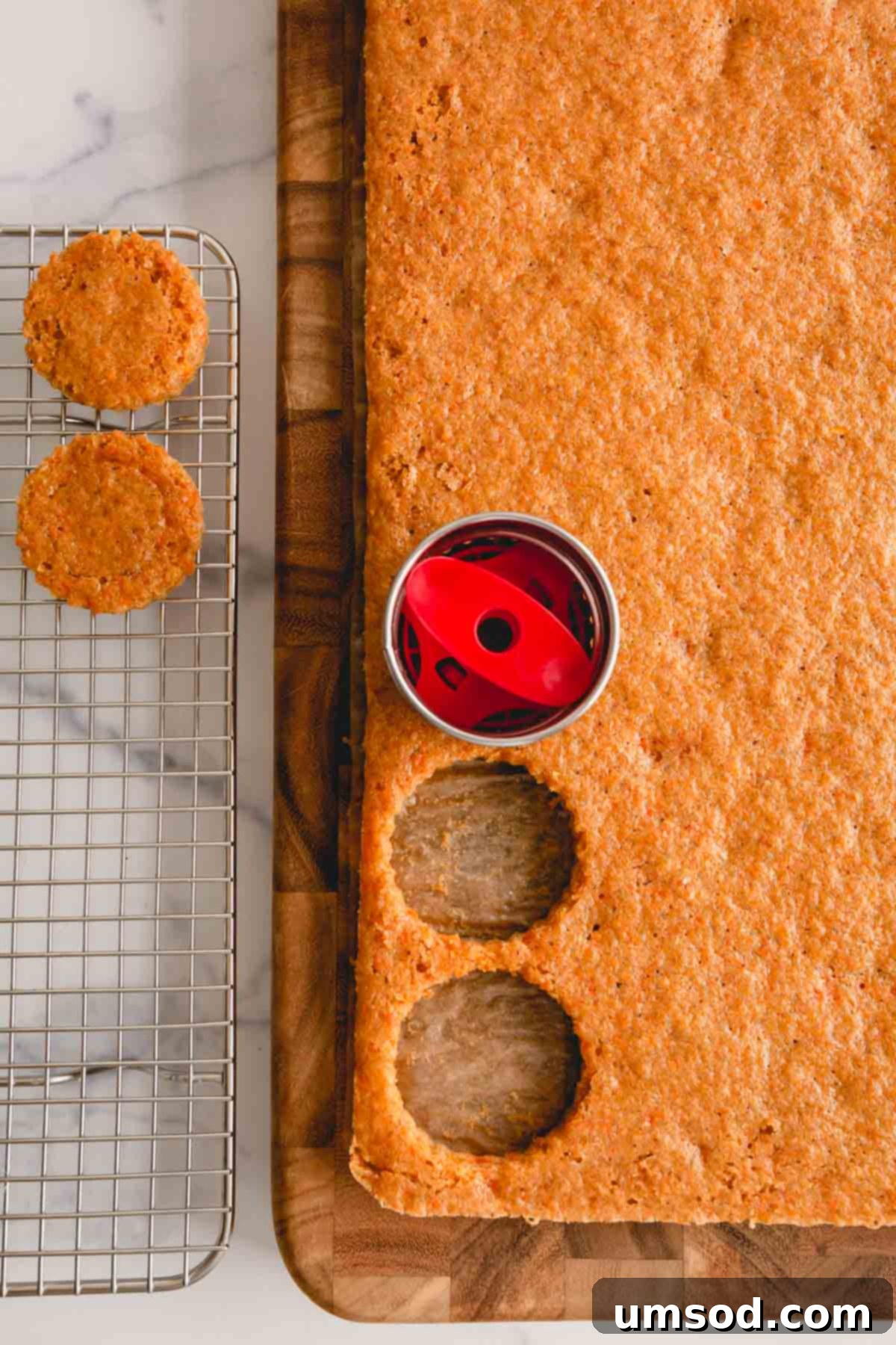 Perfectly Portioned Pecan-Topped Carrot Cakes 8 A round cookie cutter being used to cut cake circles from a baked sheet cake.