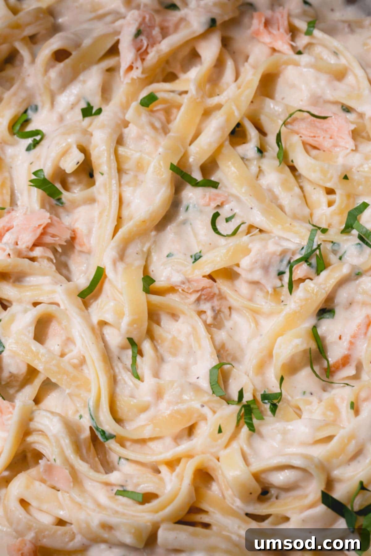 A delectable close-up shot of creamy fettuccine pasta generously mixed with flaky smoked salmon and garnished with vibrant fresh parsley, highlighting its rich texture.