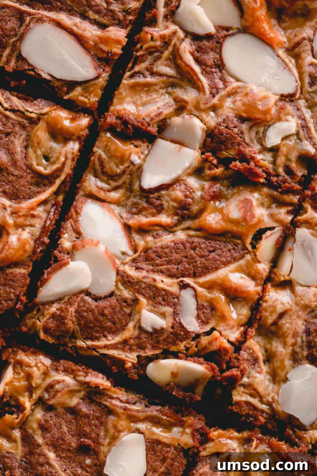 Dulce De Leche Swirled Almond Brownies 3 Close-up of a perfectly sliced brownie, revealing a swirl of dulce de leche and crunchy almonds.