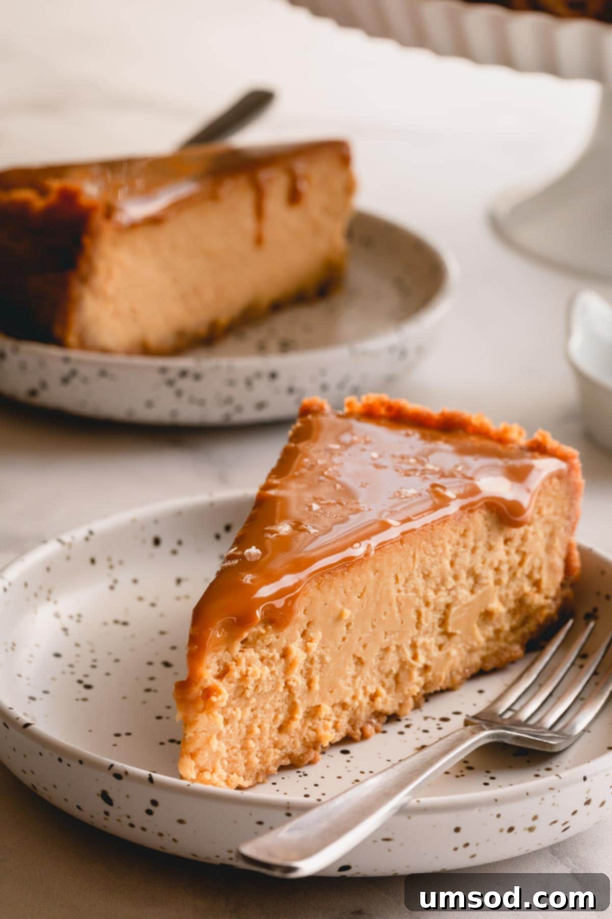 A close-up shot of a single slice of Dulce de Leche Cheesecake, beautifully plated and ready to be enjoyed, highlighting its rich textures and topping.