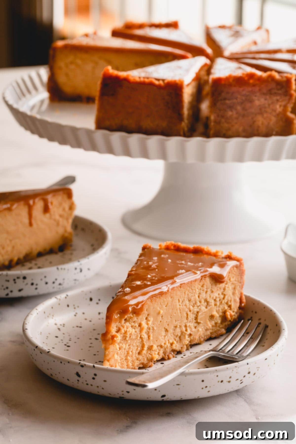 A single, perfectly presented slice of Dulce de Leche Cheesecake resting on a small white plate, inviting a taste.