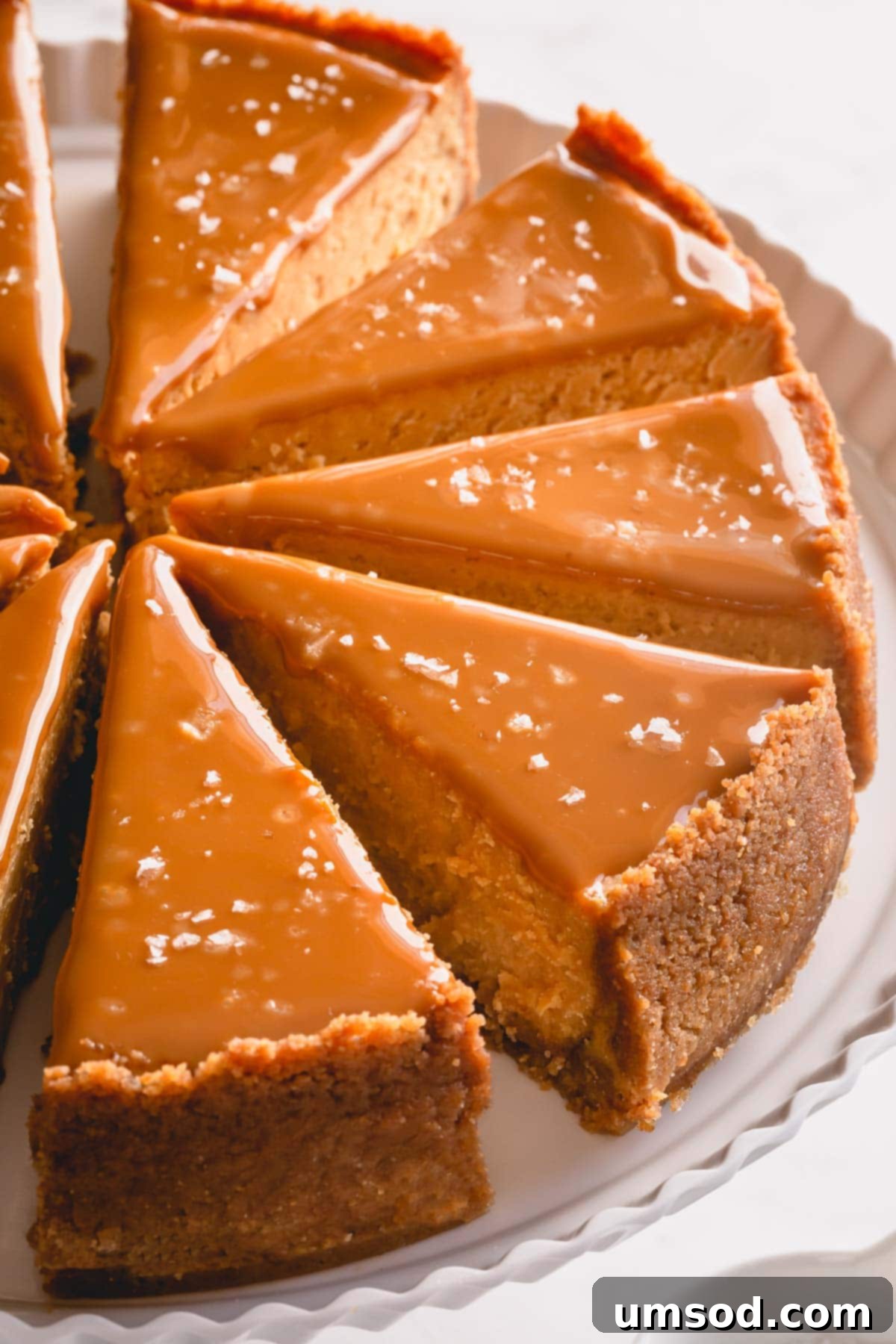 An overhead view of an entire Dulce de Leche Cheesecake, perfectly sliced and arranged on a white serving platter, garnished with sea salt flakes.