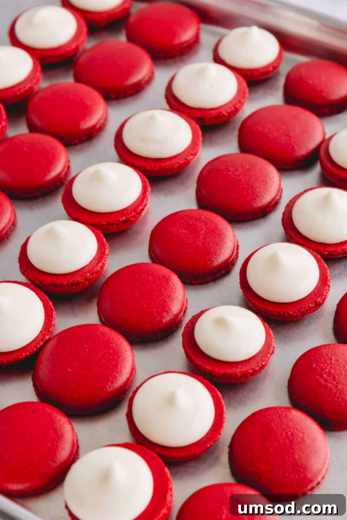 Red velvet macaron shells neatly arranged on a baking sheet, with half of them already filled with a luscious swirl of cream cheese frosting.