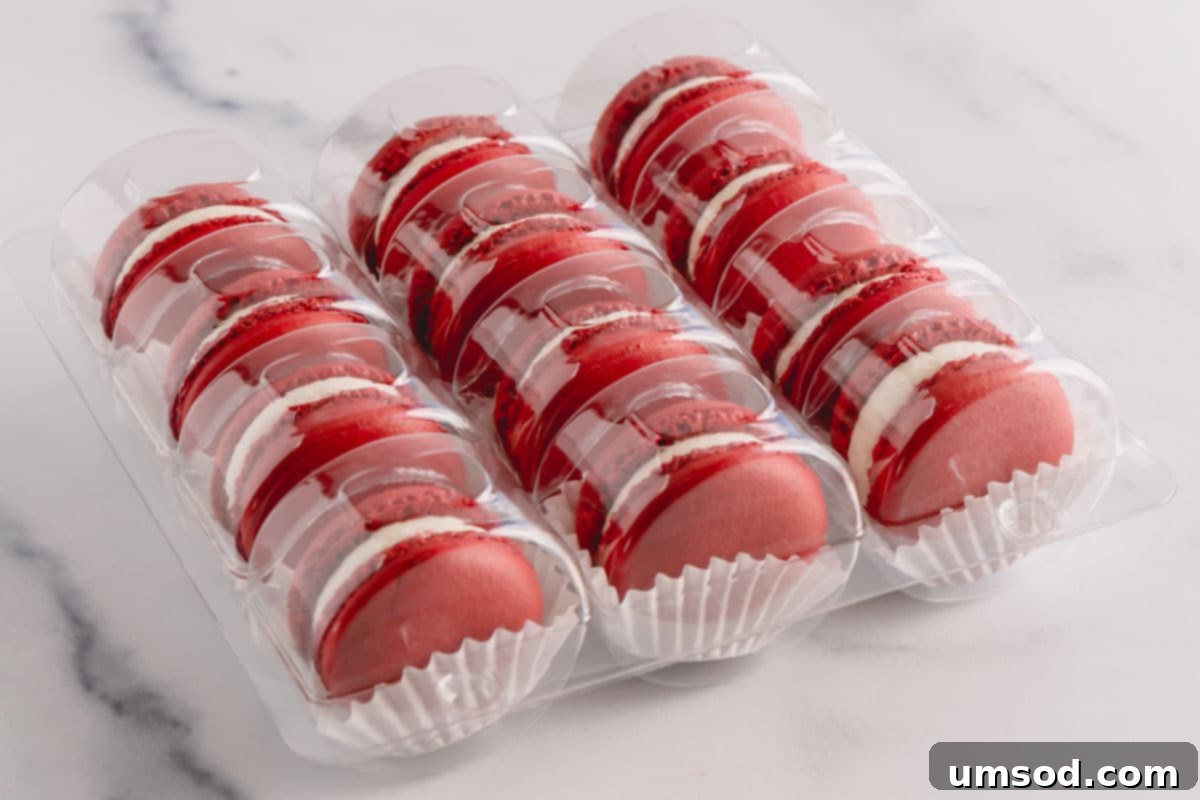 Assembled red velvet macarons neatly displayed in a transparent clamshell macaron container, ideal for presentation but requiring extra sealing for long-term storage.