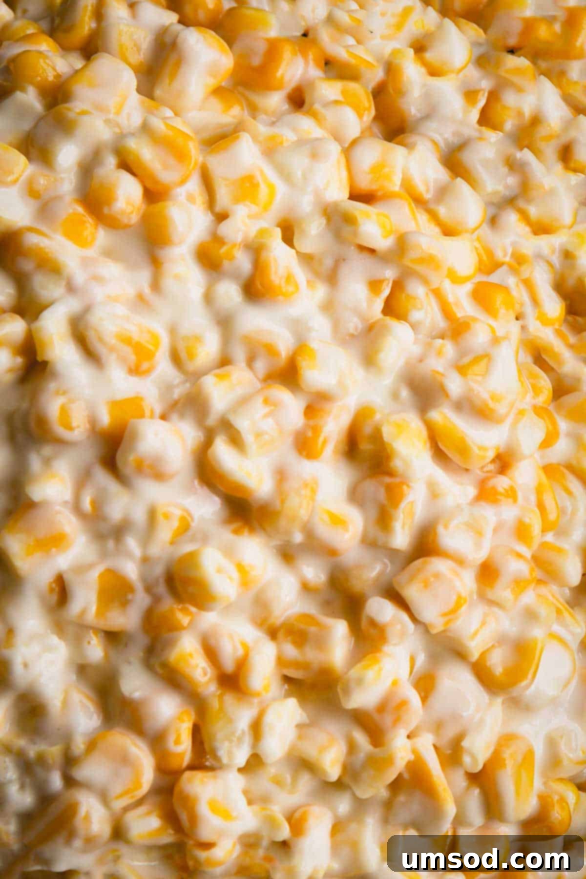 Close-up shot of creamy, golden creamed corn, showcasing its inviting texture and warmth.