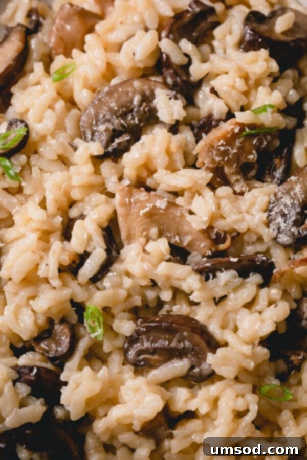 Close-up of the creamy texture of Instant Pot mushroom risotto.