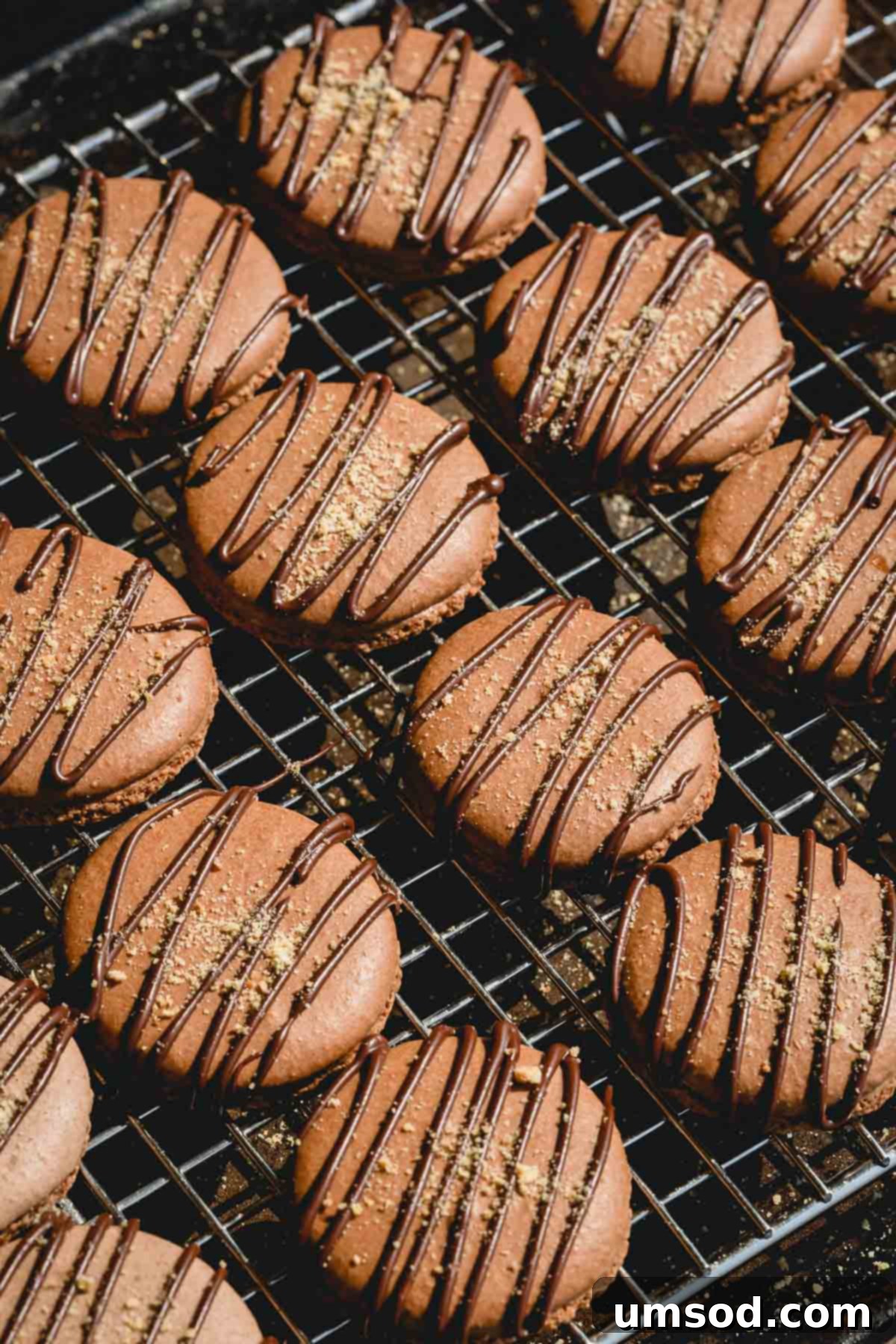 Chocolate macaron shells on a wire rack, freshly drizzled with melted chocolate and graham cracker crumbs.