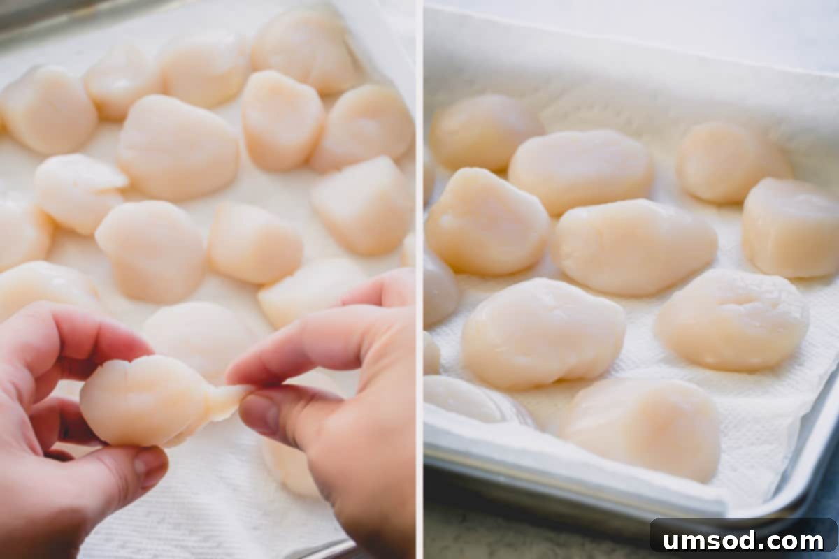 Side by side images of preparing the scallops.