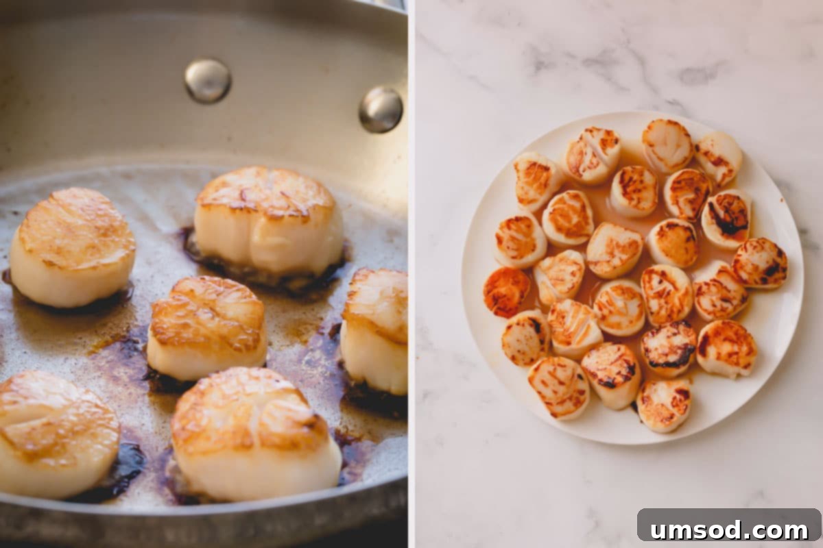 Side by side images of searing scallops.