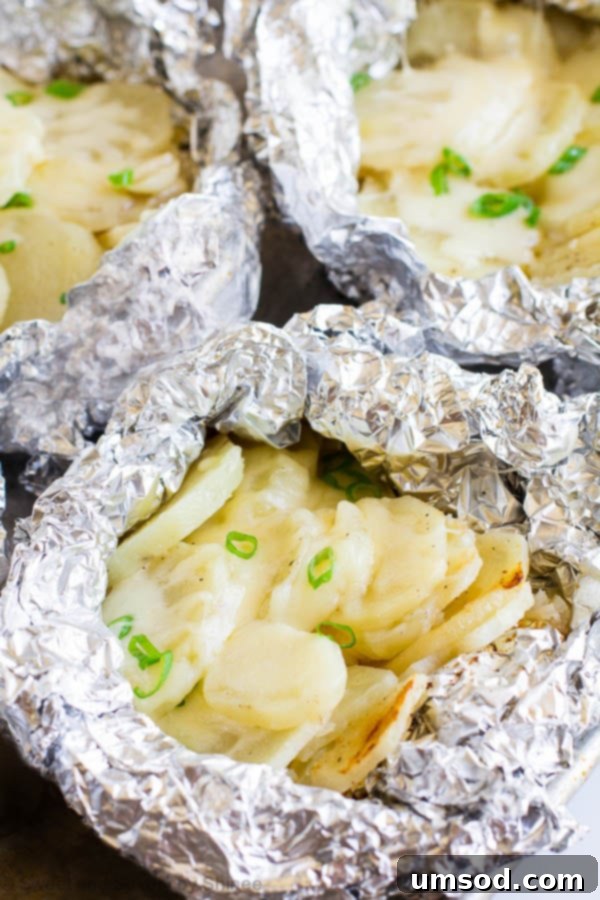 Grilled Garlic-Cheese Potato Bundles 2 Individual cheesy garlic potato packets with roasted garlic and melted cheese, ready for grilling.