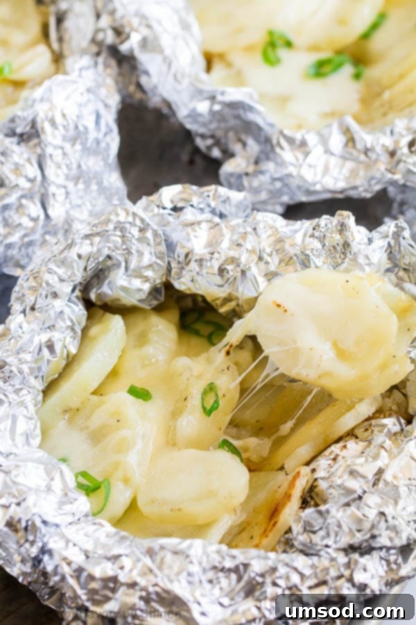 Grilled Garlic-Cheese Potato Bundles 3 Close-up of grilled cheesy garlic potato packets with melted cheese and fresh scallions.