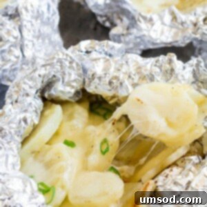 Grilled Garlic-Cheese Potato Bundles 4 Grilled Cheesy Garlic Potato Packets recipe image