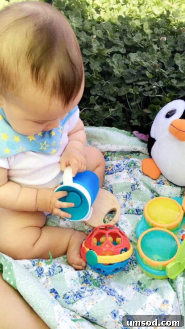 baby-update-7-months-products