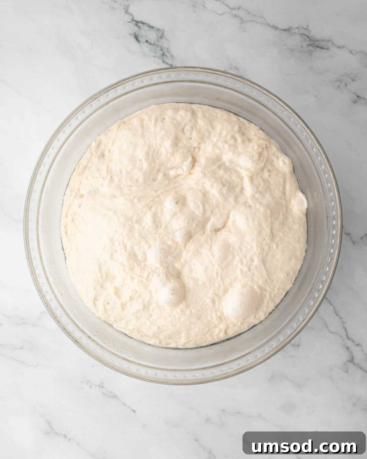 Effortless Homemade Focaccia: A Baker's Delight 11 Focaccia dough in a glass bowl, ready to proof