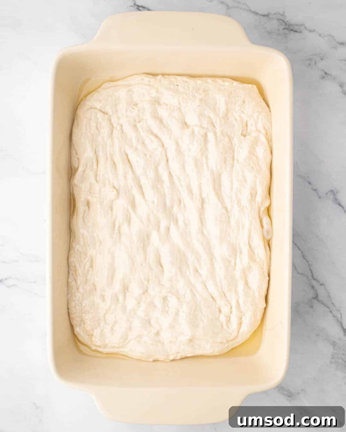 Effortless Homemade Focaccia: A Baker's Delight 12 Raw focaccia dough on olive oil in baking pan
