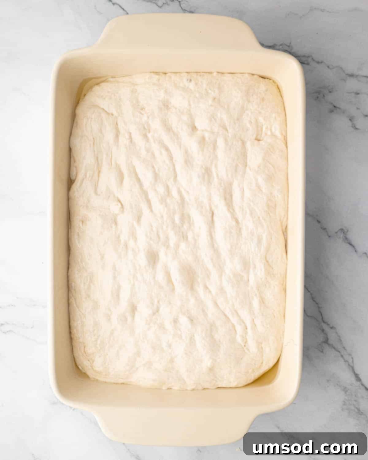 Effortless Homemade Focaccia: A Baker's Delight 13 Raw focaccia dough spread in pan ready for toppings