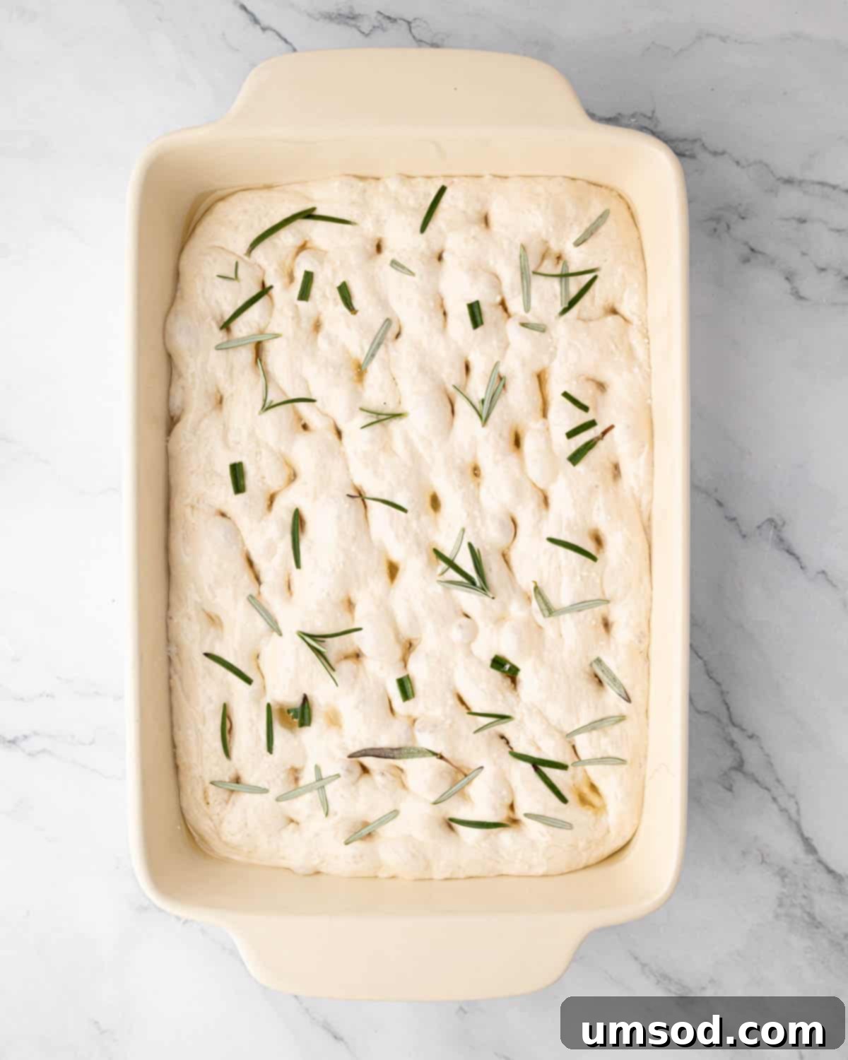 Effortless Homemade Focaccia: A Baker's Delight 14 Raw focaccia dough with fresh rosemary