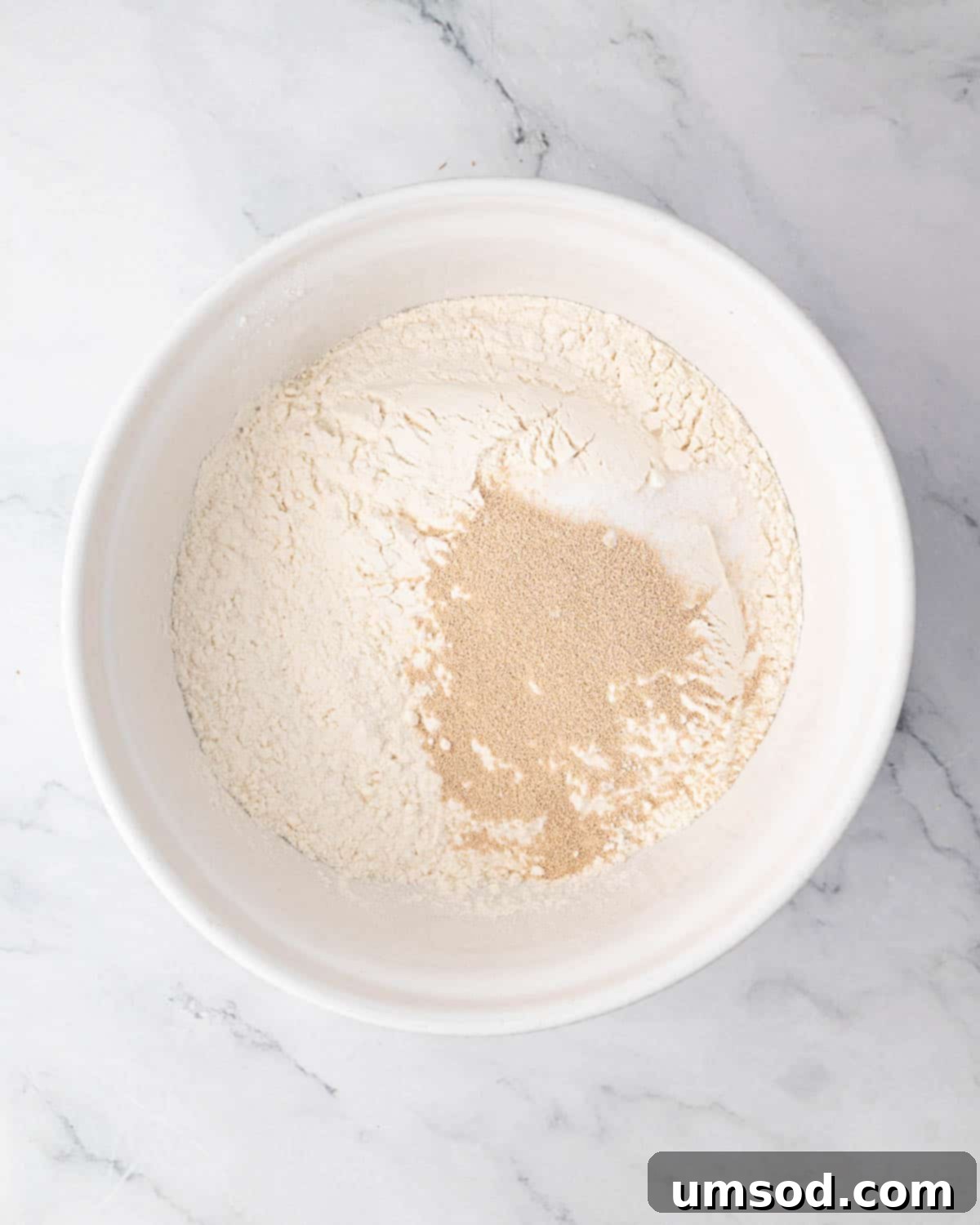 Effortless Homemade Focaccia: A Baker's Delight 5 Dry ingredients in a bowl for focaccia