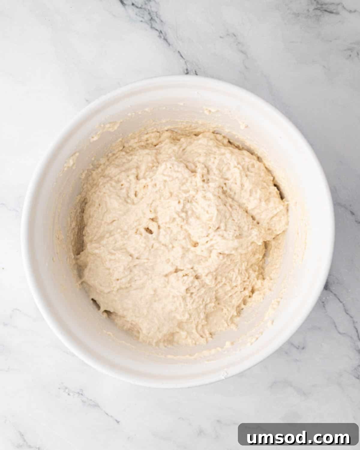 Effortless Homemade Focaccia: A Baker's Delight 7 Focaccia dough in a bowl after mixing