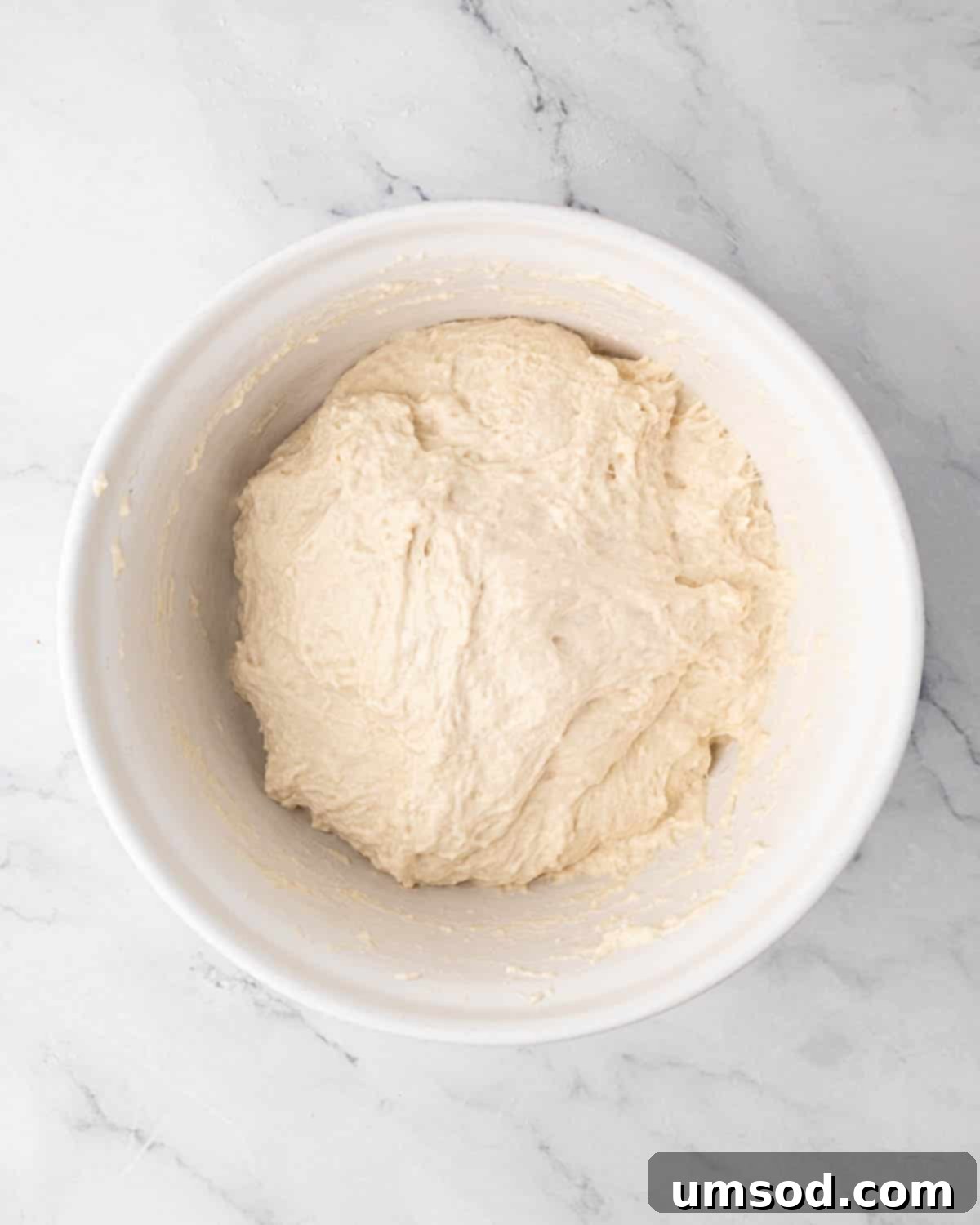 Effortless Homemade Focaccia: A Baker's Delight 10 Folded focaccia dough in oiled bowl