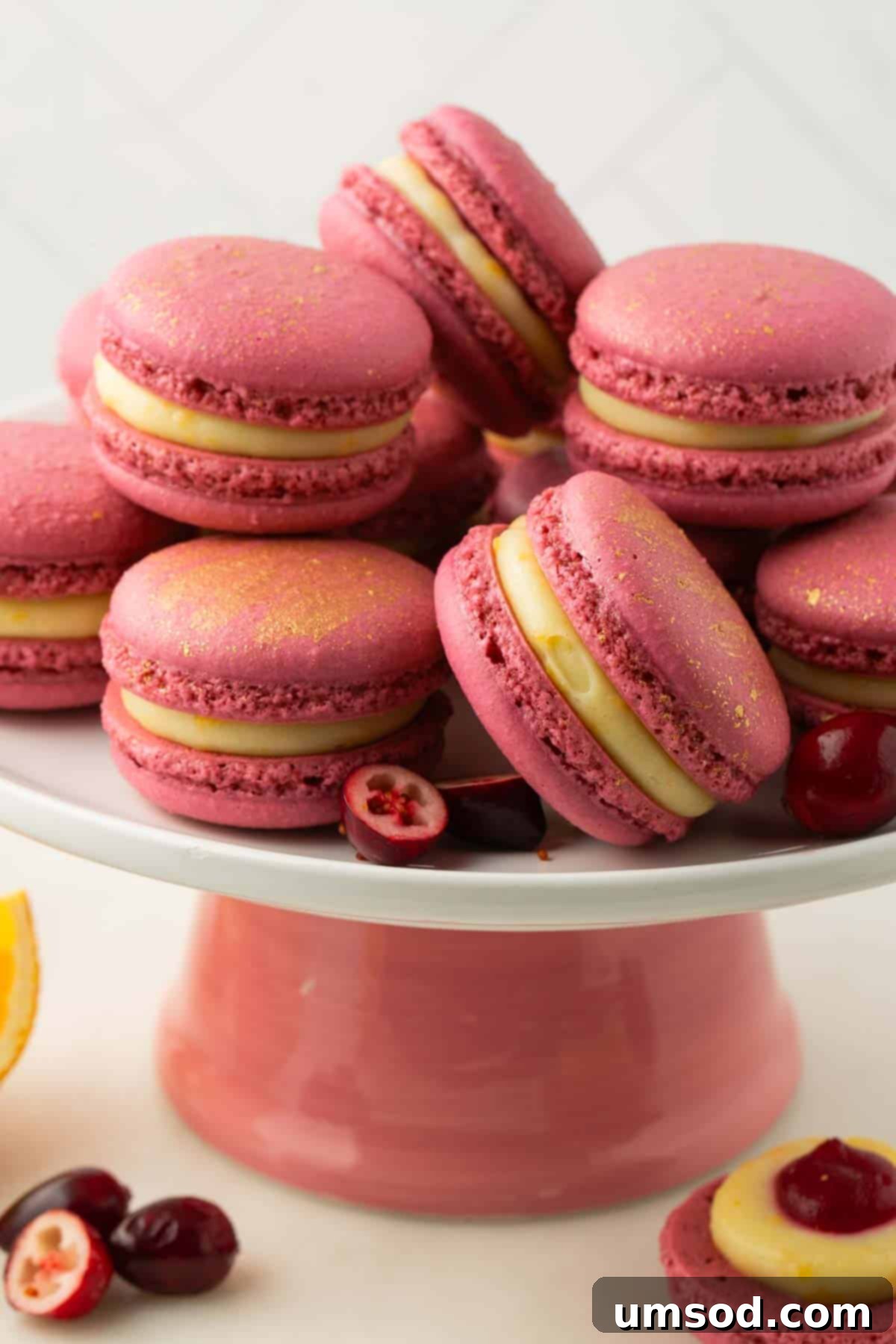 Cranberry Citrus Macarons 2 A stunning platter showcasing perfectly crafted orange cranberry macarons.