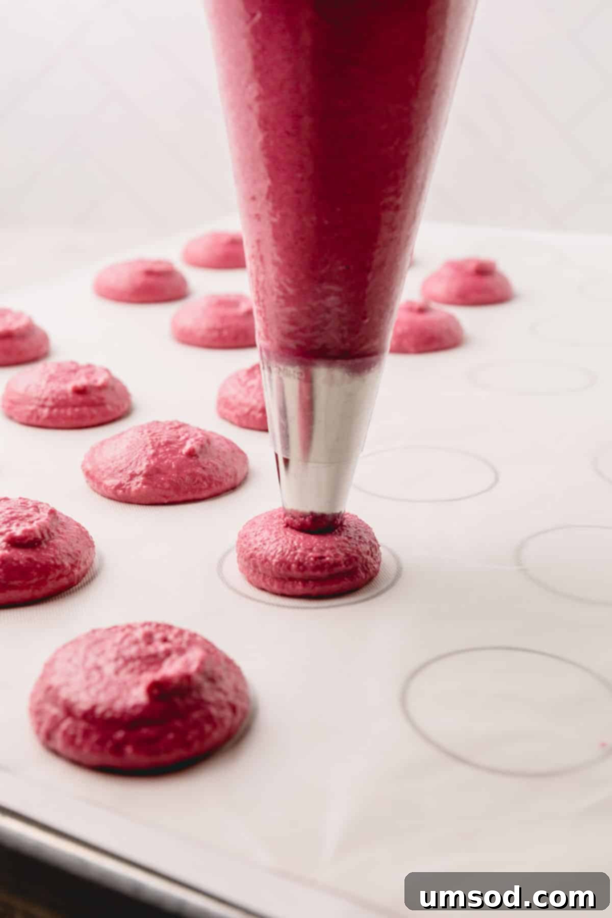 Cranberry Citrus Macarons 15 A piping bag in action, dispensing cranberry macaron batter onto a parchment-lined baking sheet.