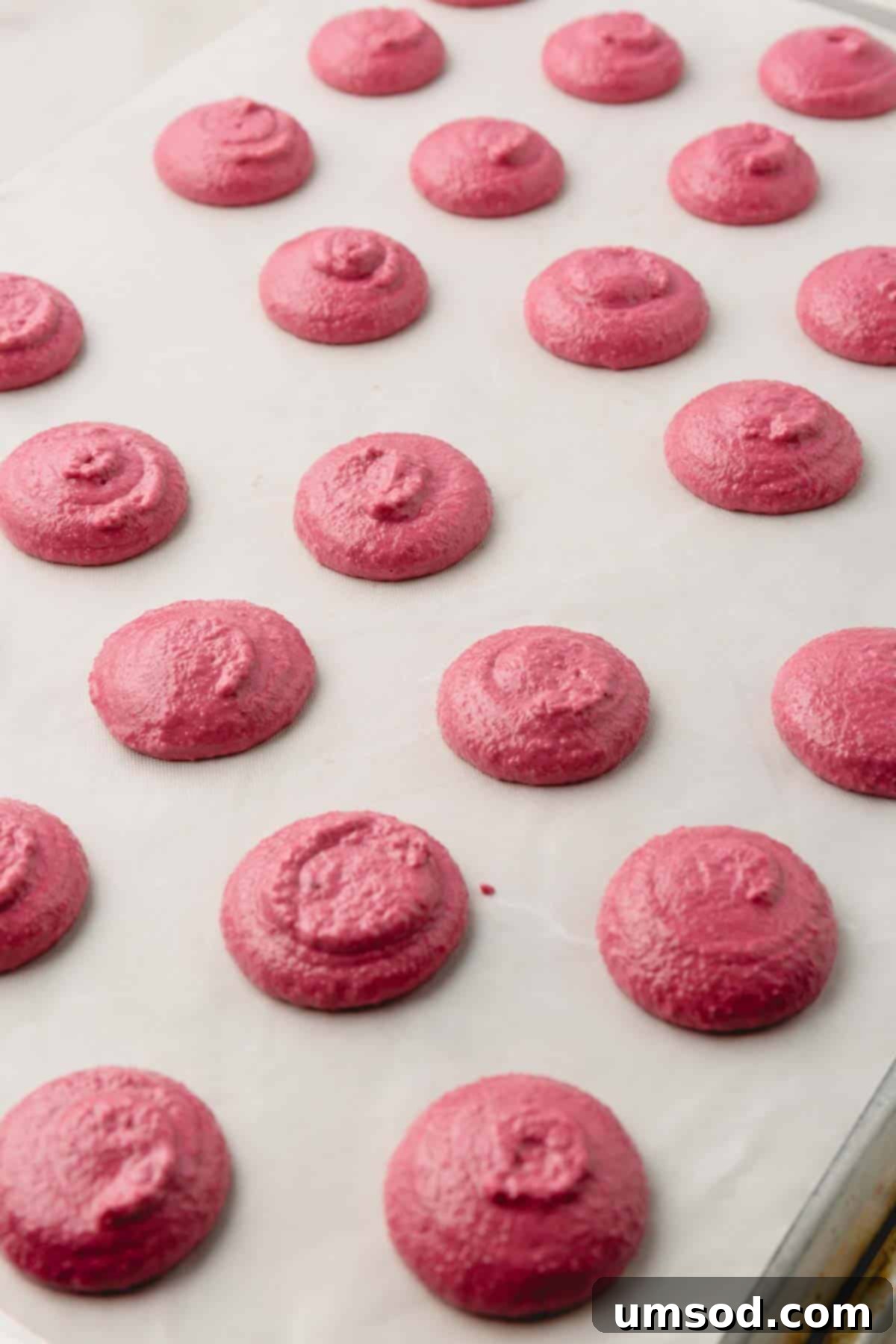 Cranberry Citrus Macarons 16 A baking sheet filled with neatly piped raw cranberry macaron shells, ready for resting.