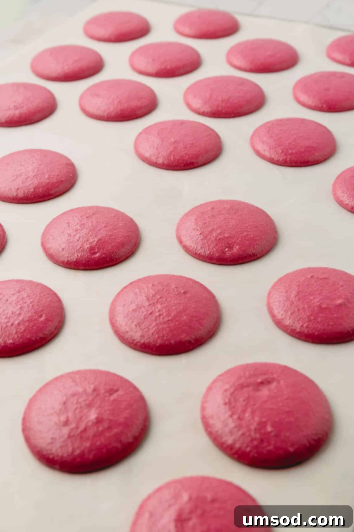 Cranberry Citrus Macarons 17 Close-up of raw burgundy macaron batter meticulously piped onto a sheet of parchment paper.
