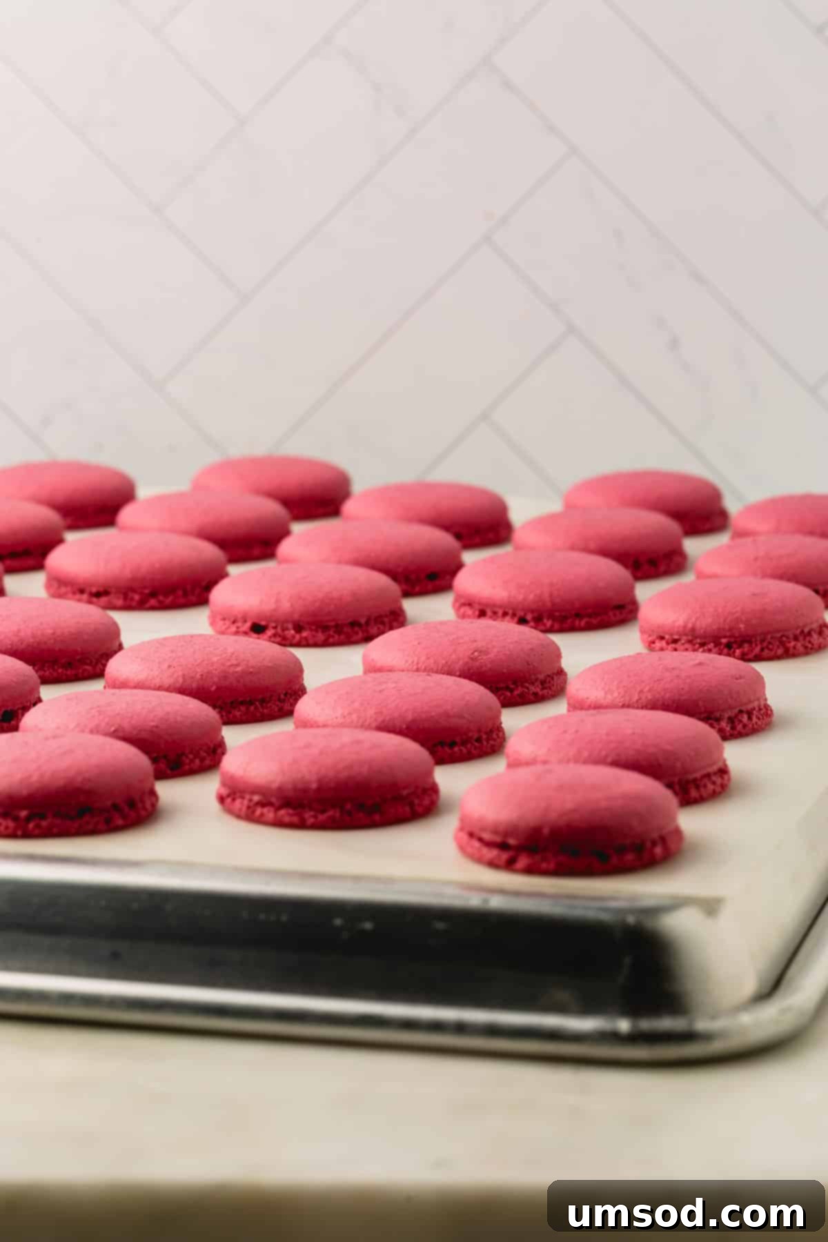 Cranberry Citrus Macarons 18 Perfectly baked burgundy macaron shells resting on a parchment paper-lined baking sheet, showcasing their delicate feet.