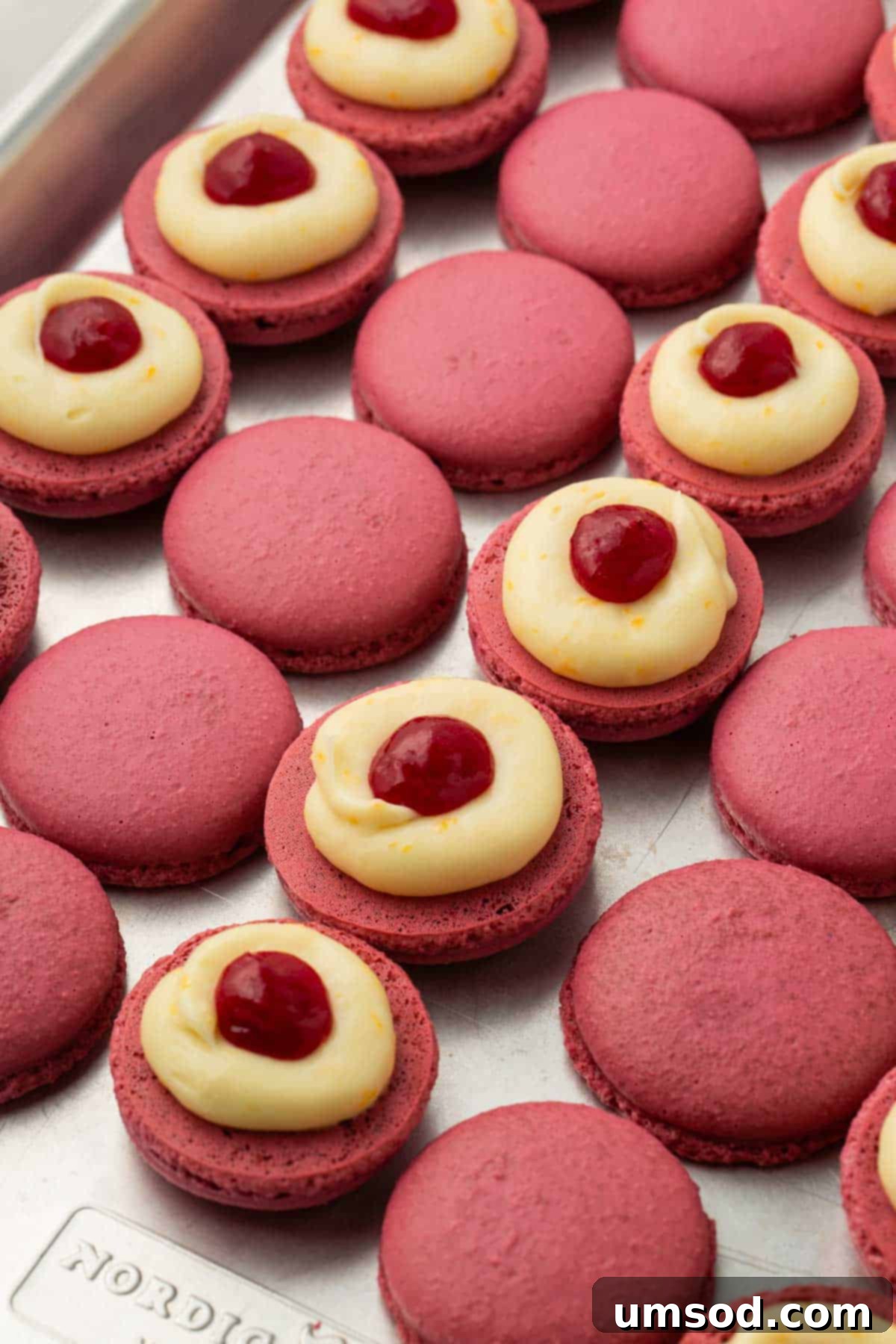 Cranberry Citrus Macarons 27 Cranberry macarons on a baking sheet, adorned with chocolate orange meringue and a dollop of tangy cranberry sauce.