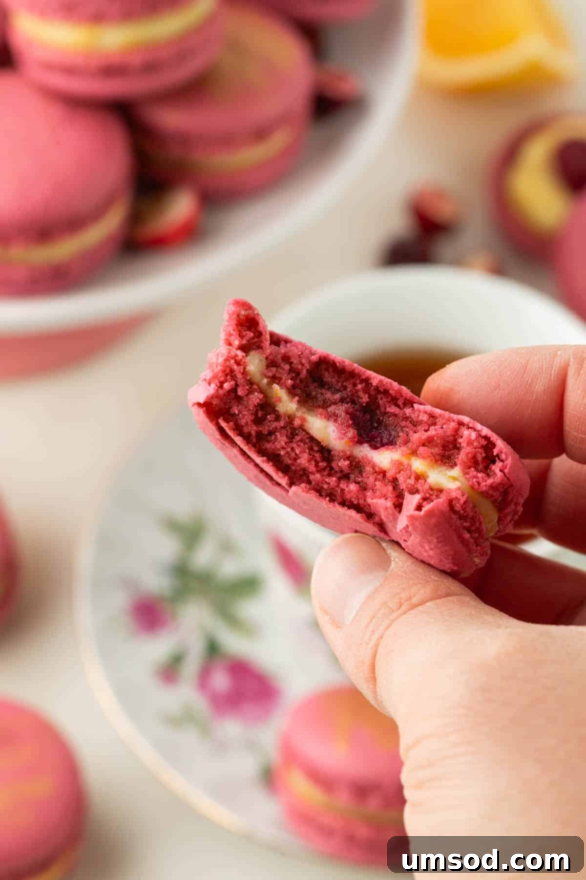 Cranberry Citrus Macarons 30 A hand holding a cranberry macaron filled with orange meringue and cranberry sauce, with a bite missing to reveal the delicious interior.