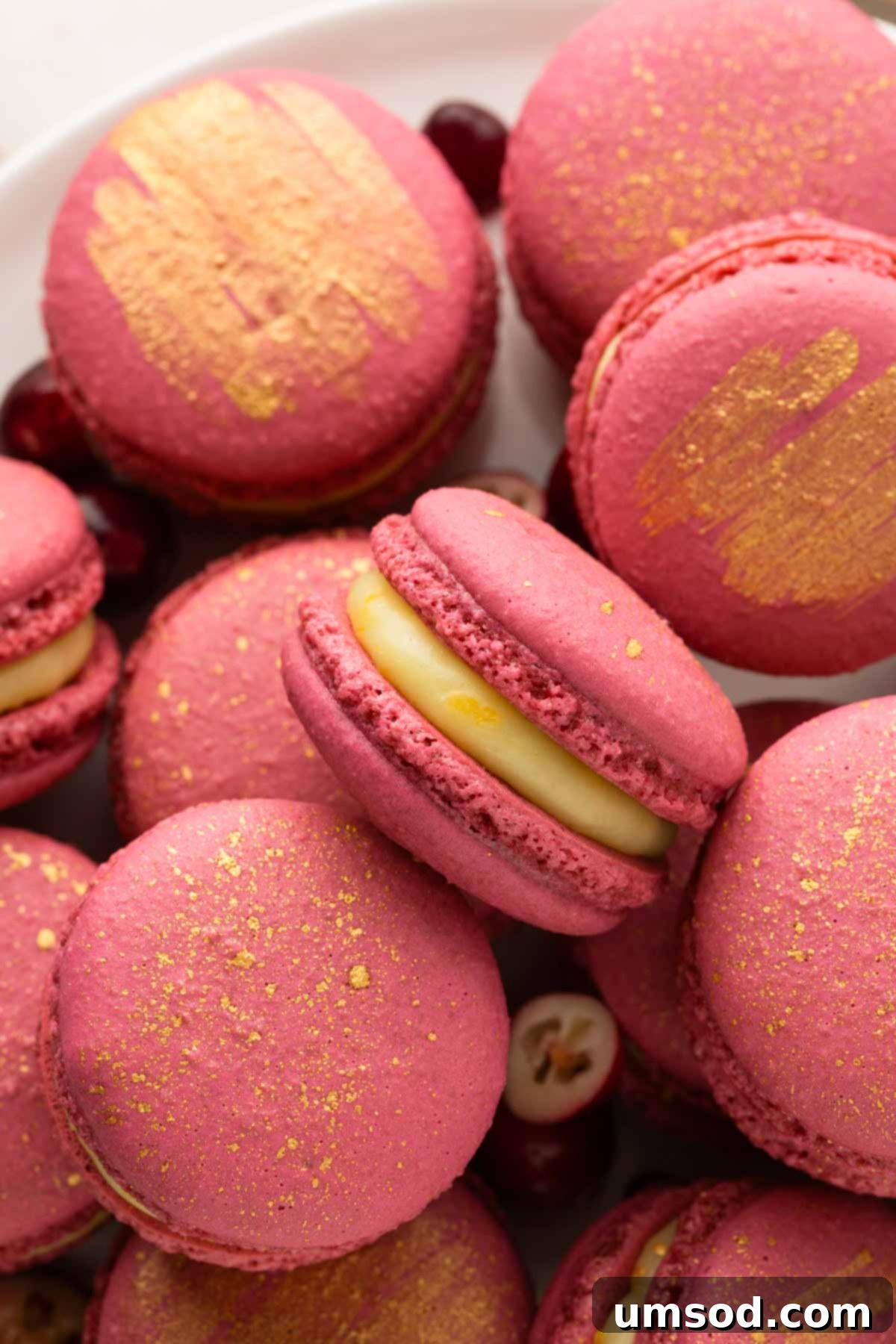 Cranberry Citrus Macarons 4 A vibrant assortment of pink cranberry orange macarons, adorned with a delicate dusting of edible gold.